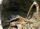 Археологи нашли в Перу уникальный зал жертвоприношений цивилизации мочика   