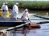Правительство США считает, что всего из скважины в воды залива вылилось 4,9 млн баррелей нефти. Пока работы, направленные на ликвидацию утечки, помогли задержать только 800 тысяч баррелей нефти