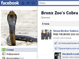  Facebook    ,    ,   ,  ,     -       