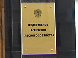     ,         500        