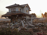    The Japan Times    ,       ,         