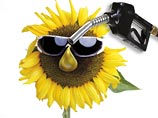   ,  Greenpeace