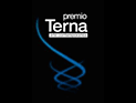 Итальянская премия Terna открыла номинацию для российских художников Итальянская премия Terna открыла номинацию для российских художников