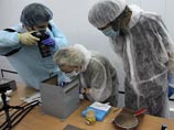 Спускаемый аппарат российского спутника "Бион-М1", который был запущен с космодрома Байконур 19 апреля, вернулся на Землю со значительными потерями - в ходе 30-дневного эксперимента погибла большая часть подопытных животных