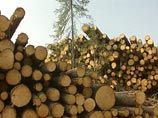 По версии следствия, в 2009 году Навальный, представляясь советником губернатора Кировской области (хотя на тот момент таковым не являлся), совершил ряд незаконных действий, в результате которых "Кировлесу" был причинен ущерб в размере 1,3 миллиона рублей