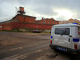   Greenpeace,               ,     