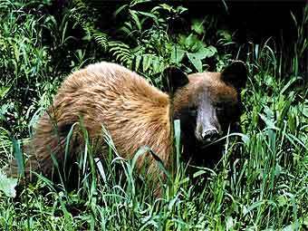    wdfw.wa.gov
