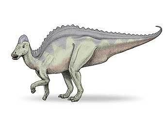 Hypacrosaurus.   Laikayiu   wikipedia.org