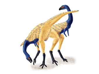    Limusaurus inextricabilis.    nsf.gov 