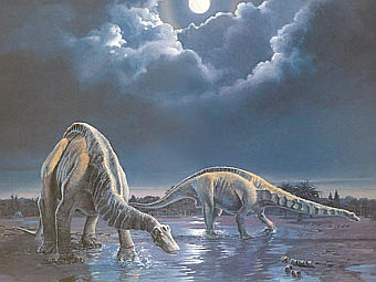    .  Canadian Museum of Nature
