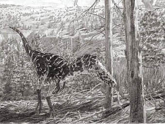    Alioramus altai.  American Museum Of Natural History/Jason Brougham