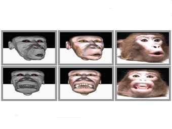 ,   .   