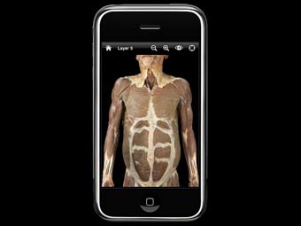   "Anatomy Lab"