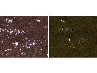    "",  8  25 .  NASA/JPL-Caltech/University of Arizona 