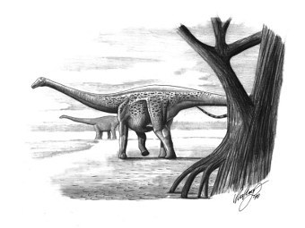 Magyarosaurus dacus.  Mihai Dumbrava, liliensternus.deviantart.com
