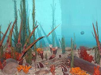      .    National Museum of Natural History