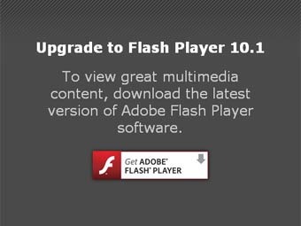 Adobe   Flash-   