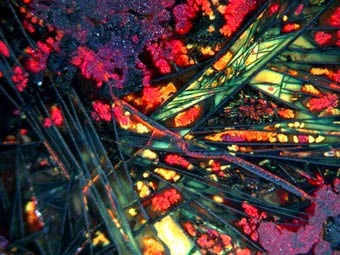      .    sciencenews.org