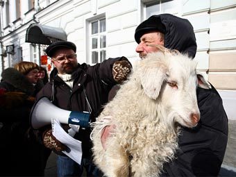    superomsk.ru