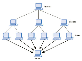  DDoS-.    oszone.net