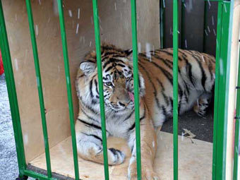  .    animals.hbh.ru