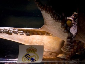     "".  ©AFP