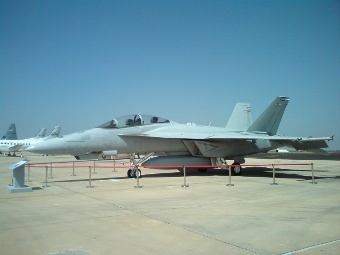  F/A-18 Super Hornet.    livefist.blogspot.com