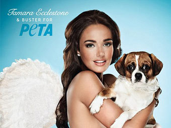  .    peta.org 