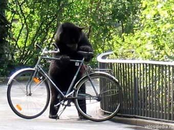    velosipedia.ru