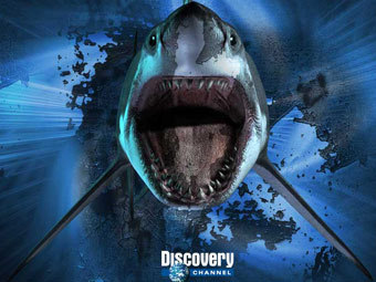    Discovery Channel 