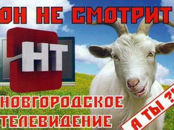    novgorod.ru 