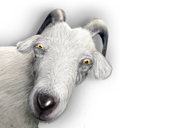  LiveJournal -  