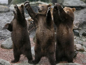  zooclub.ru