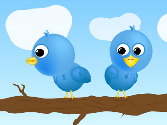  -   Twitter,    vividsocialmedia.com