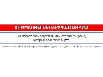    vedomosti.ru