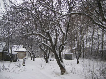    fermer.ru