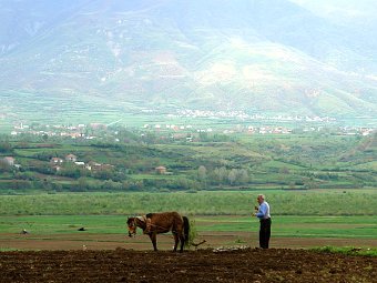 Албанский крестьянин. Фото Charles Roffey