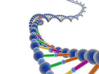 Компьютерная модель молекулы ДНК. Изображение с сайта gatech.edu
