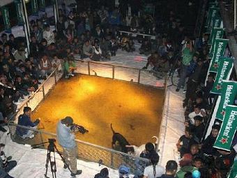  ,    Heineken     