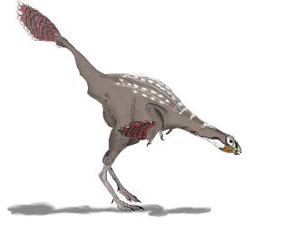 Пернатый динозавр Caudipteryx zoui, треть популяции которого, по-видимому, страдала остеоартрозом. Реконструкция Matt Martyniuk Dinoguy2