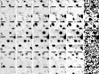Фото нескольких галактик из скопления. Иллюстрация авторов исследования
