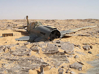 Kittyhawk P-40. Фото с сайта theaviationist.com