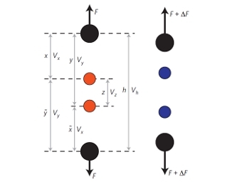 Взаимодействие двух типов частиц в метаматериале до (слева) и после растягивания. Изображение из статьи Zachary G. Nicolaou & Adilson E. Motter