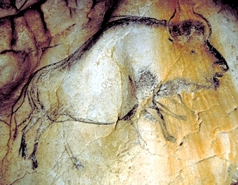       .  M. Azema, J. Clottes, Chauvet Cave scientific team