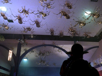 Кадр из фильма "Атака пауков"