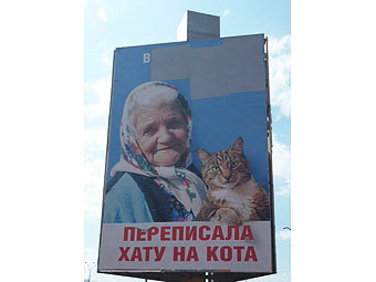    dndz.com.ua 