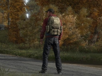   DayZ